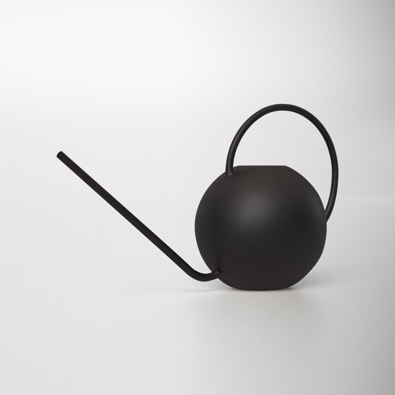 Addie Iron Watering Can & Reviews AllModern